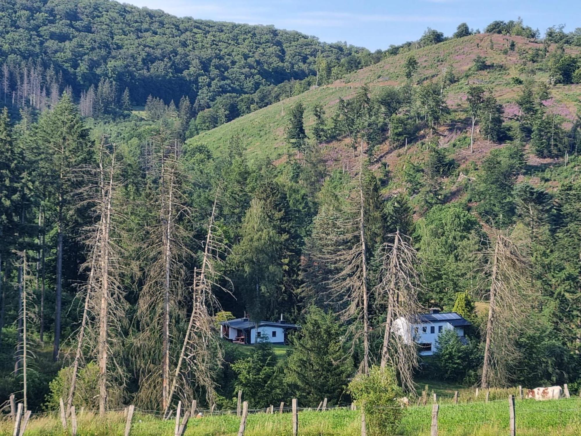 Explorer'S Lodge & Camping Helminghausen ภายนอก รูปภาพ